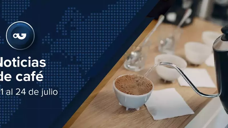 Panorama Global del Café: Premios, Mercados y Sostenibilidad
