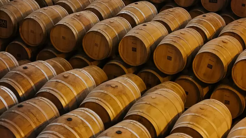 Rioja: Innovación y Estabilidad en la Viticultura