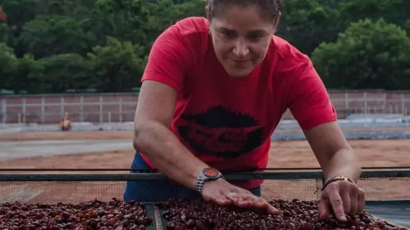 La Evolución del Mercado de Café de Especialidad: Más Allá de la Calidad Intrínseca