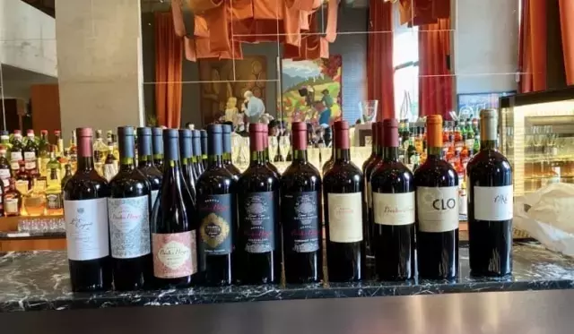Bodega Piedra Negra: Una Ventana al Terroir de Los Chacayes