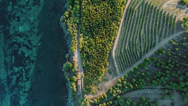 Aires de Garbet 2021: El Mejor Tinto que Encarna el Esp￭ritu Mediterráneo