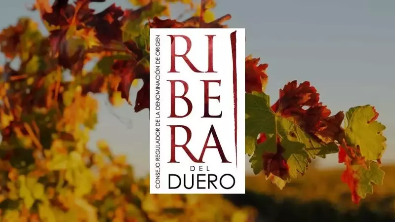 Ribera del Duero: Festival de la Vendimia con Vino, Música y Cultura