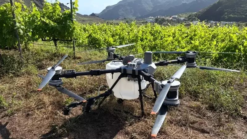 Innovación Tecnológica en la Viticultura Canaria: Un Futuro Sostenible para el Vino