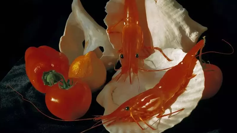 Xuebing Du: El Arte de Transformar lo Cotidiano en Sublime