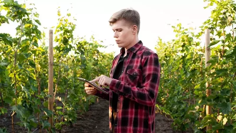 Gipuzkoa Impulsa 'Hamarrak' para Innovar en Alimentación y Tecnología