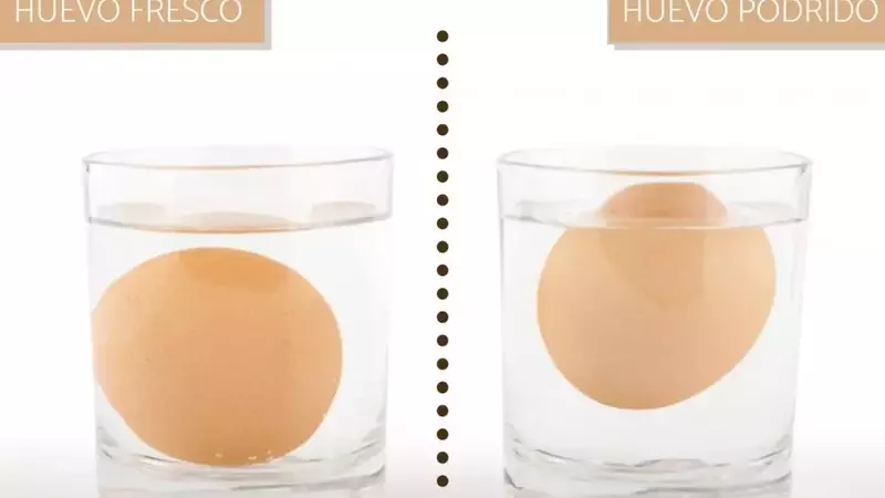 El Secreto del Vaso de Agua: Determina la Frescura de tus Huevos Fácilmente