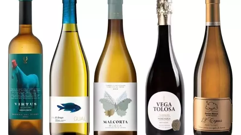 El renacimiento de variedades vinícolas olvidadas: Un viaje al I Salón de Variedades Rescatadas