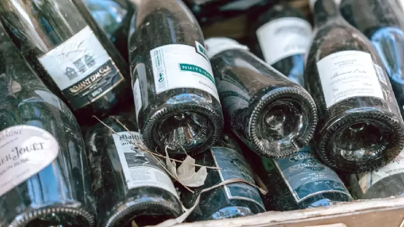 Revolución en la Conservación del Vino: Presentamos OXXI Wineprotector