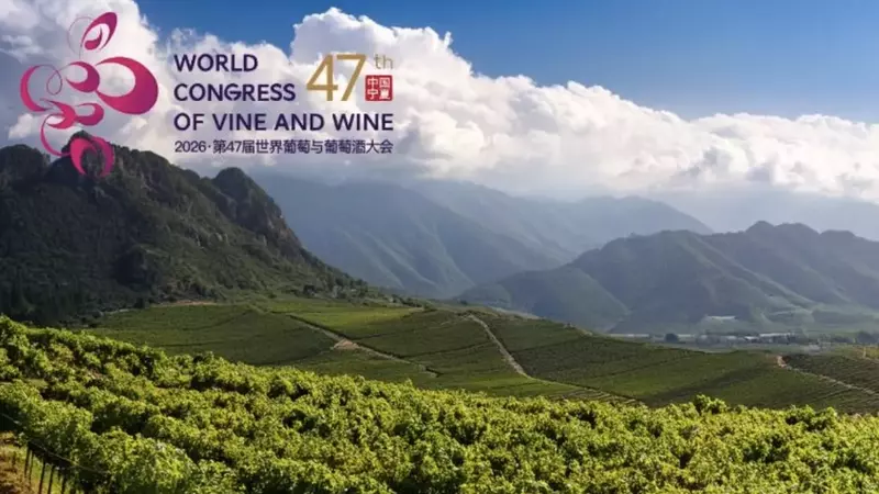China: De Consumidor a Productor Destacado en la Industria Vitivinícola Mundial