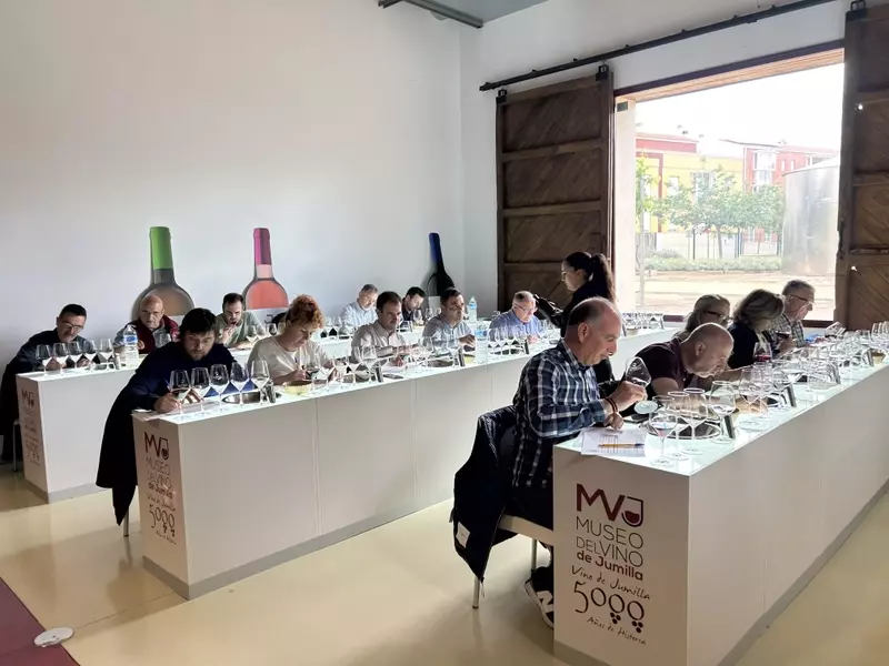 La Cosecha 2025 de la DOP Jumilla: Un A￱o de Contrastes y Calidad "Muy Buena"
