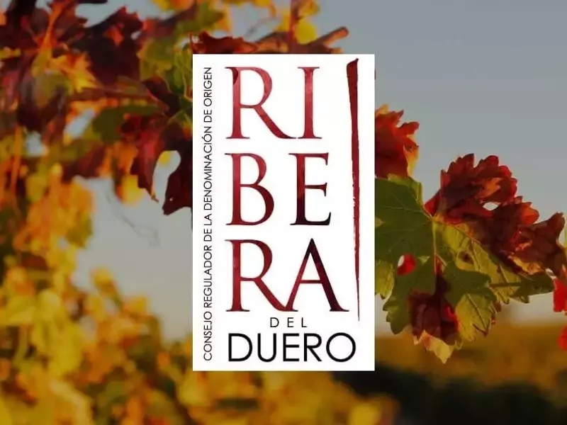 Ribera del Duero y Pet Shop Boys: Un Maridaje Musical Inesperado en Santander