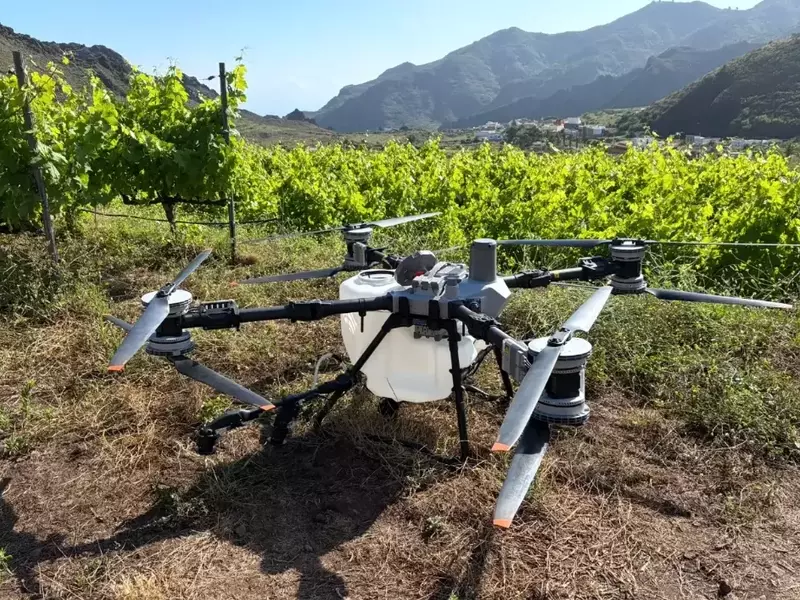 Innovación Tecnológica en la Viticultura Canaria: Un Futuro Sostenible para el Vino